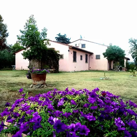 Cortona Holiday Home Holiday home